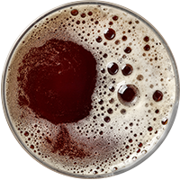 beer_transparent_02 assets/uploads/sites/3/2017/05/beer_transparent_02.png
