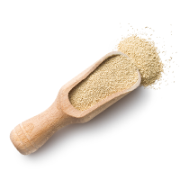 ingredients_transparent_02 assets/uploads/sites/3/2017/05/ingredients_transparent_02.png