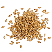 ingredients_transparent_03 assets/uploads/sites/3/2017/05/ingredients_transparent_03.png